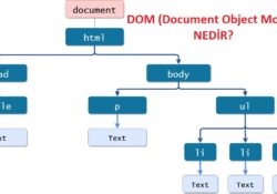 DOM (Document Object Model) Nedir?